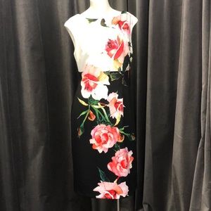 Women’s Dress